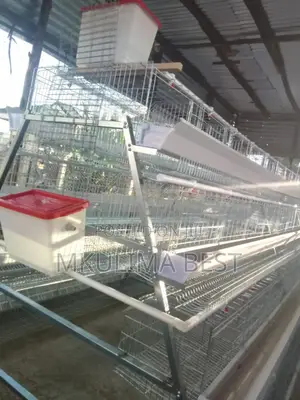 Poultry Cages