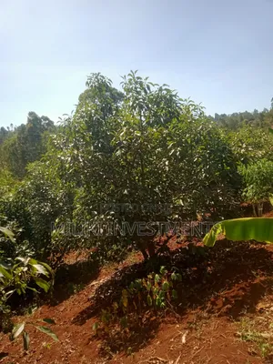 1 Acre on Sale at Kabati-Kagunduini