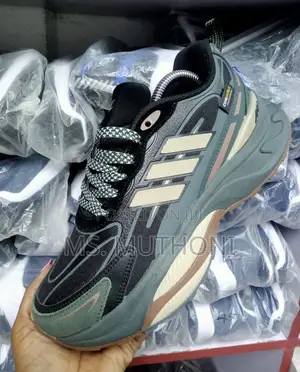 Adidas MTS Pro Sneaker Gym / Running Gortex Sizes 40-45