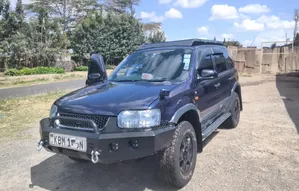 Ford Escape Bullbar