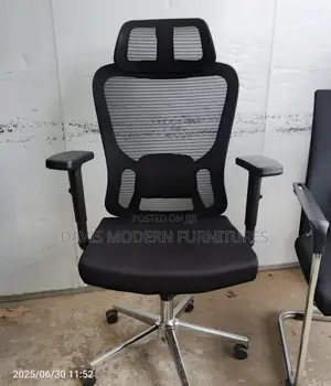 Premium Ergonomic Mesh Office Chair