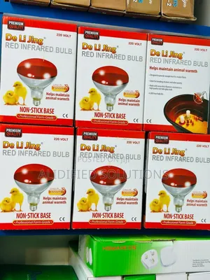 220v Infrared/Chicken Bulb