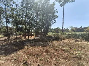 Residential Half Acre Piece of Land for Sale in Kerarapon Drive