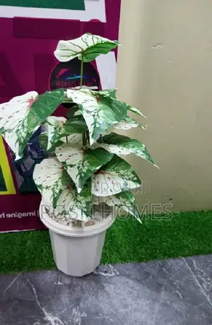 Decorative Artificial Plants