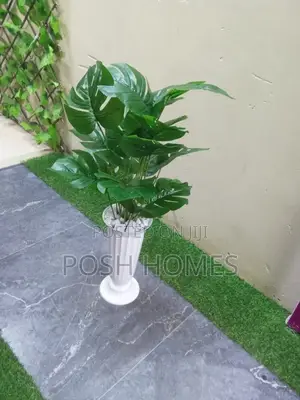 Beautiful Affordable Plants