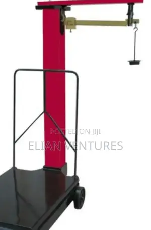 Top Quality Avery Platform Manual Scale