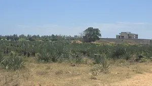 1acres Commercial Land Vipingo for Sale
