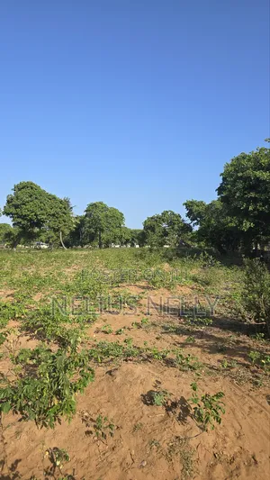 3.5acres for Sale Kituoni Kilifi Before Tezo Town