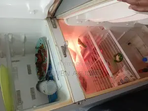 Samsung Fridge