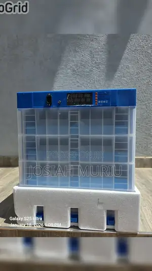 Kuku 256 Eggs Ac/Dc Automatic Incubator