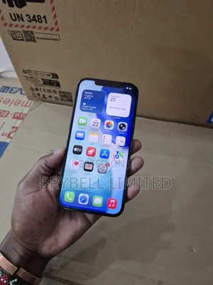 Apple iPhone 12 Pro Max 256 GB Blue