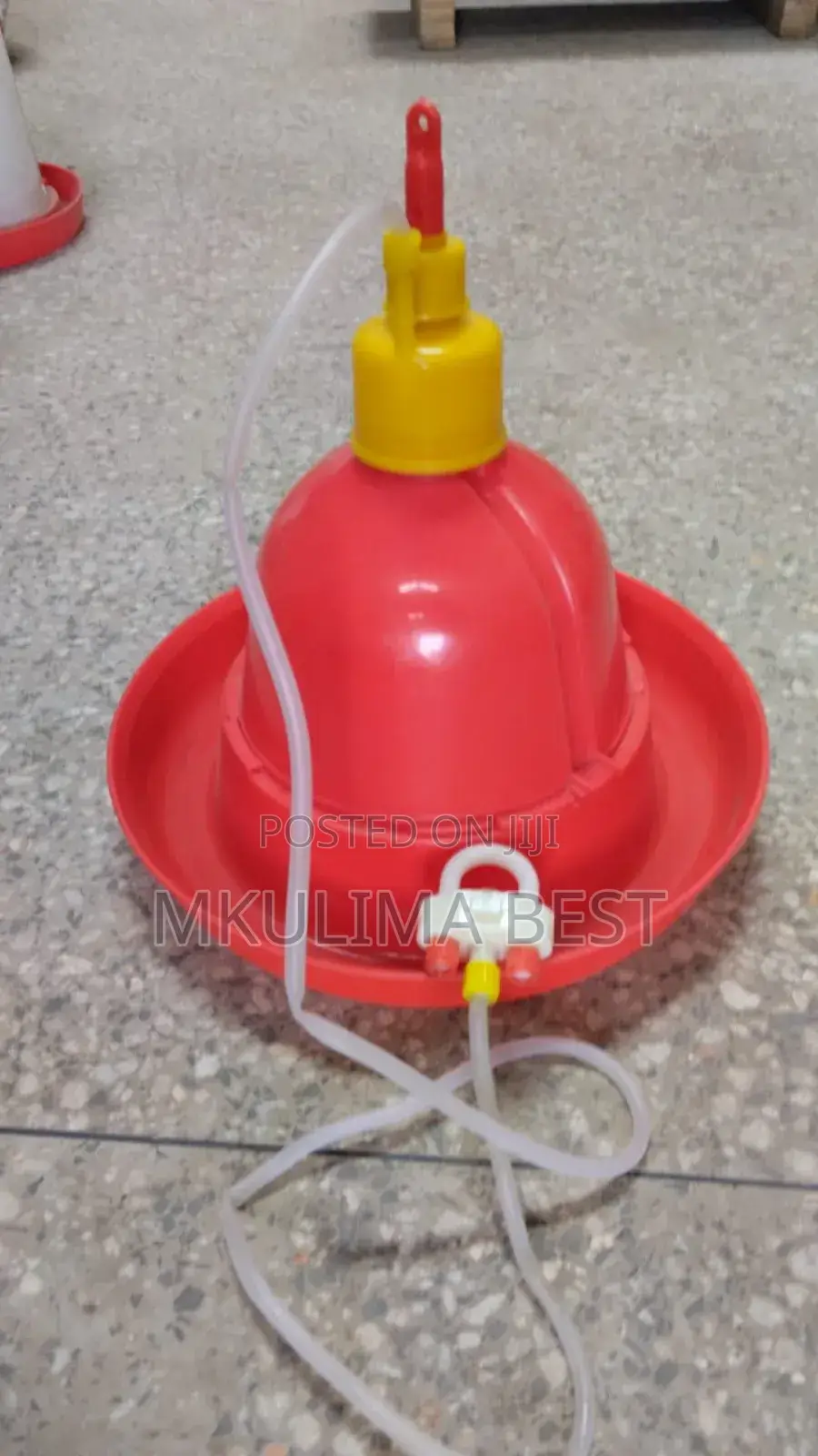 Medium Automatic Drinker