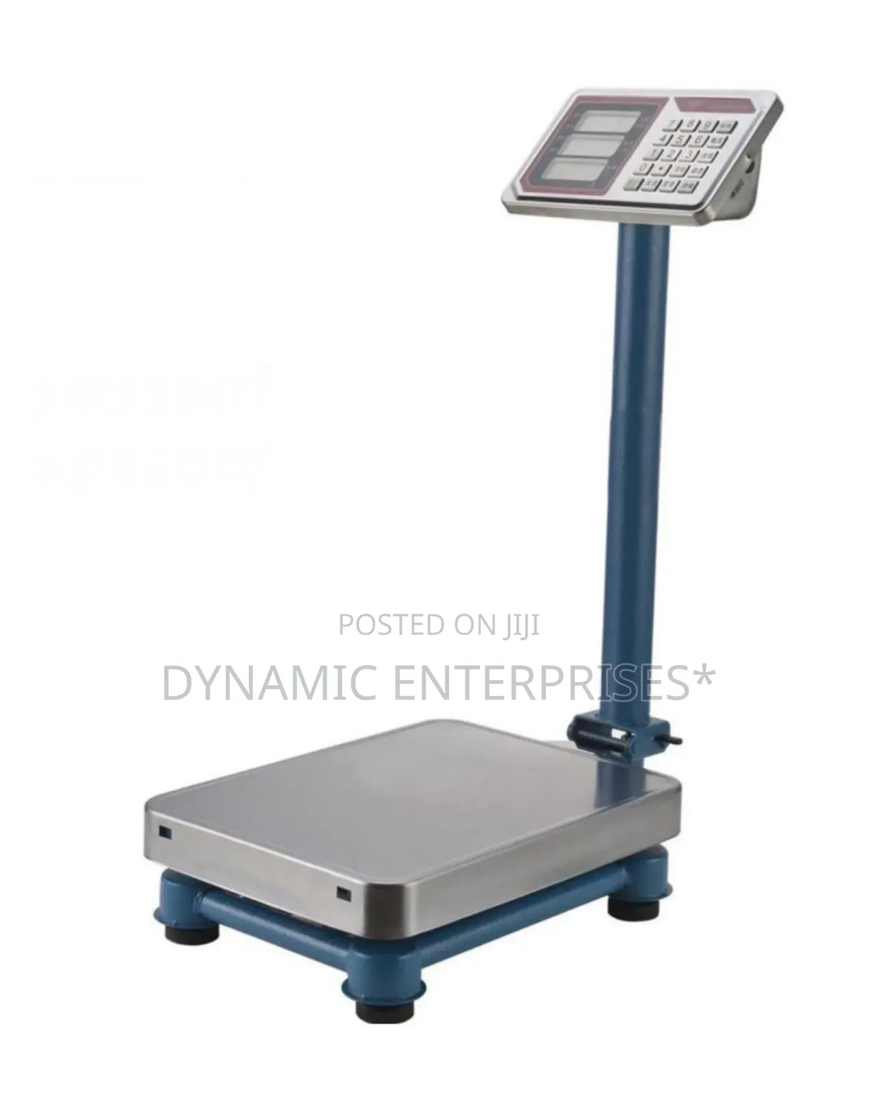 Digital Platform Scale