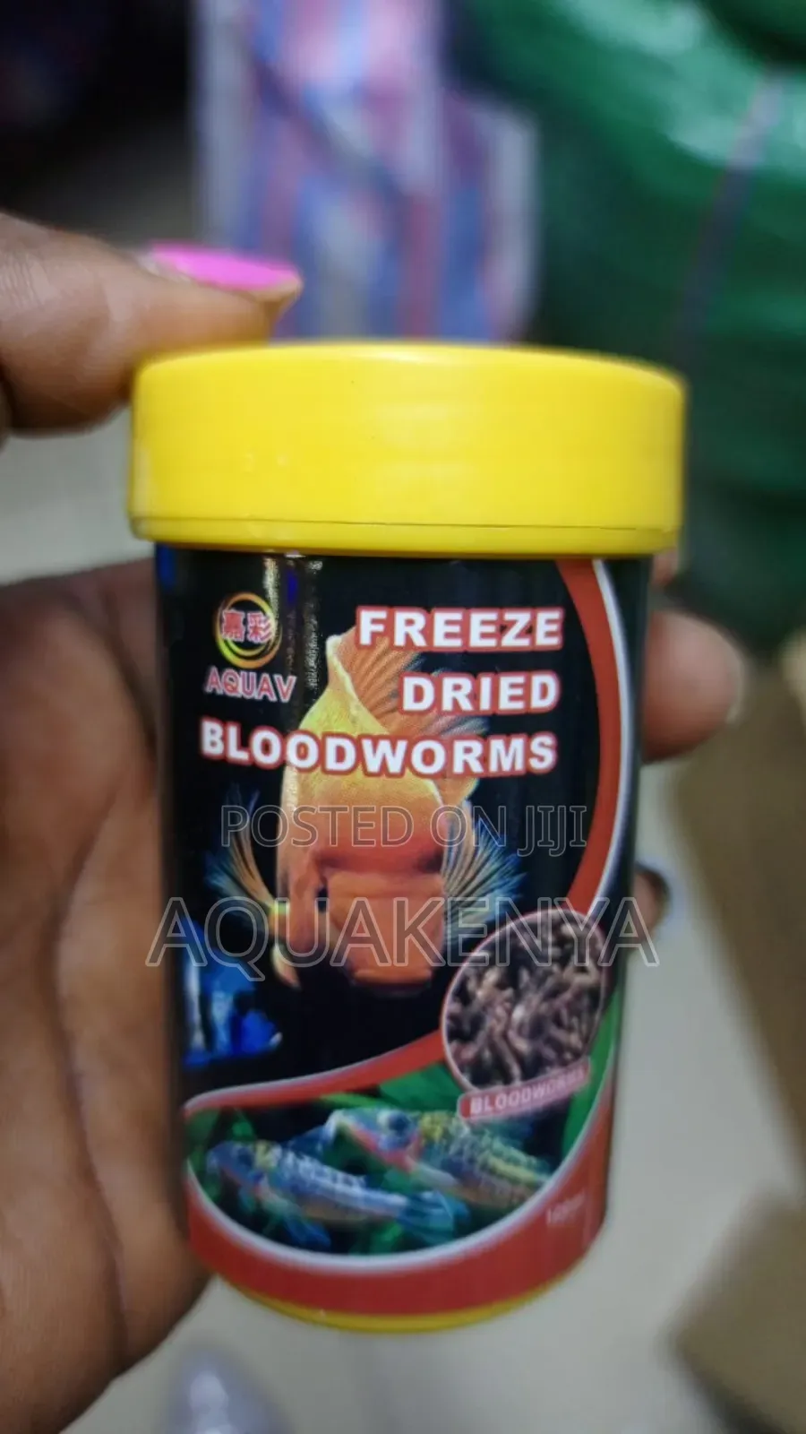 Bloodworms,Dried Bloodworms