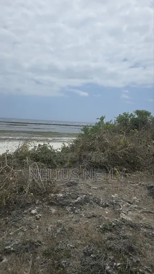 2.5 Acres Chumani Beach Front Available for Sale