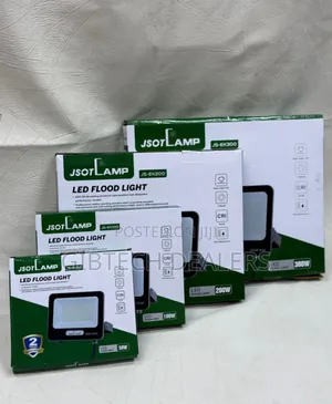 100w Electric Floodlight