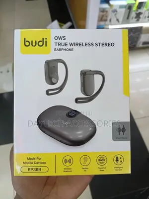 Budi True Wireless Stereo Earbuds Ep36b.