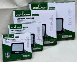 100watts Electric Floodlight