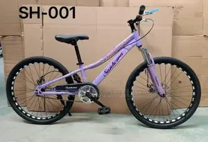 Sanhema Ladies/Girls Mountain Bike Size 24