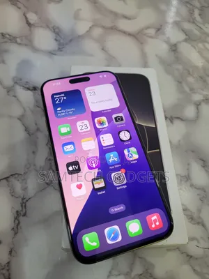 Apple iPhone 16 Pro Max 256 GB Gray