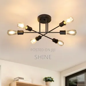 Vintage Ceiling Lights