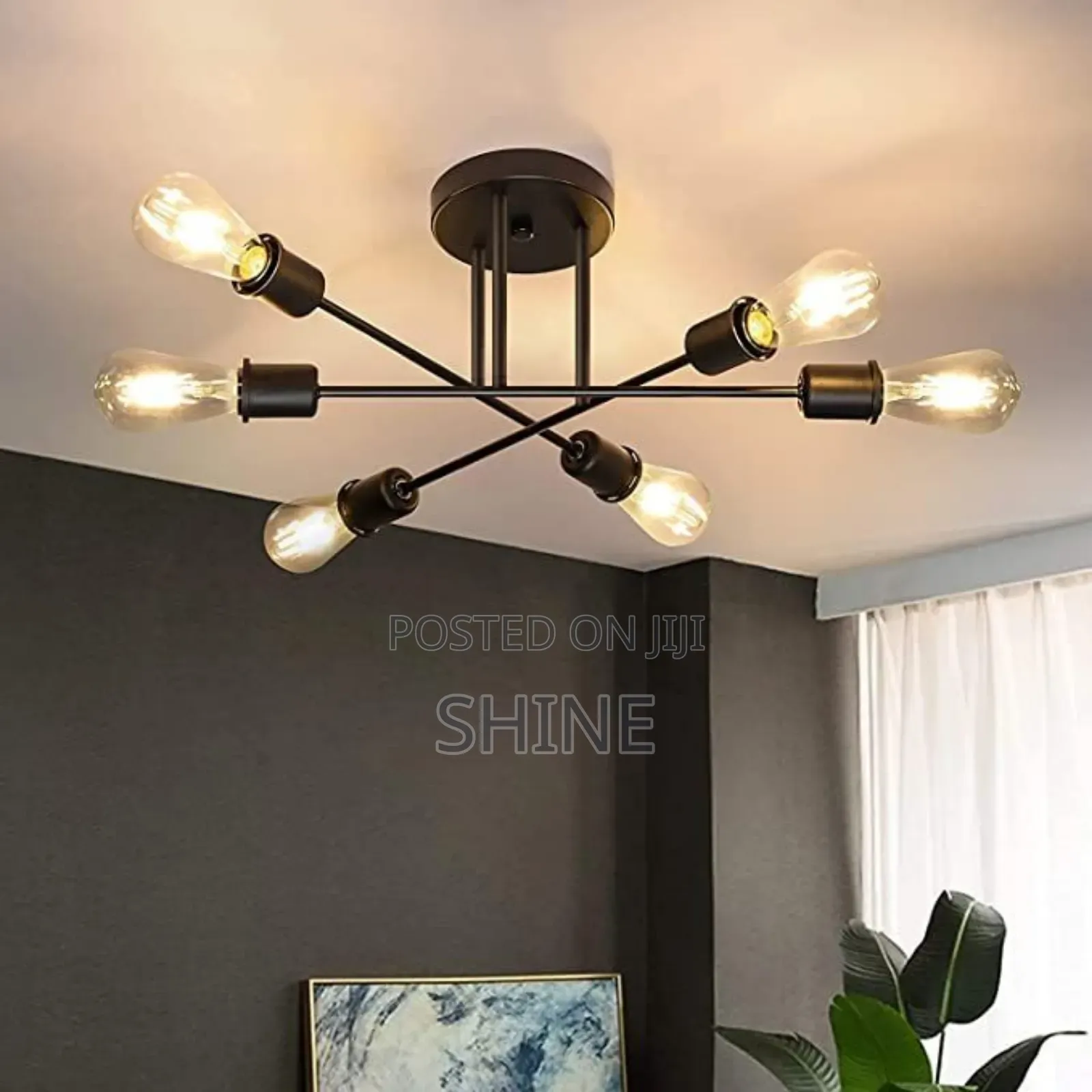 Vintage Ceiling Lights