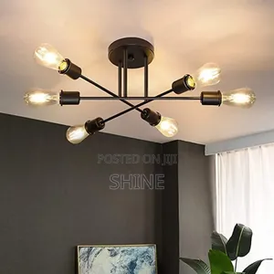 Vintage Ceiling Lights