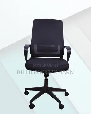 Ergonomic Work Chair| Executive Finish, Lower-Back Support