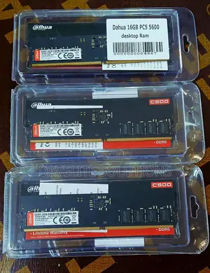 Dahua 16gb Pc5 5600 Laptop Ram (Dhi-DDR-C500s16g56)