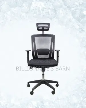 Adjustable Headrest Work Chair • Neat Professional Look, Neck Support