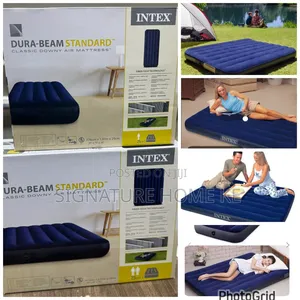 Intex Inflatable Mattress