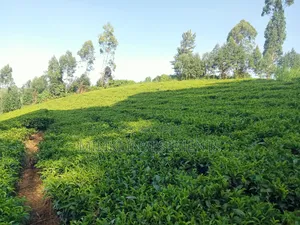 4.5 Acres Of Land On Sale At Karinga- Kangari