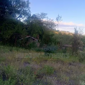 2.5 Commercial Land at Thika