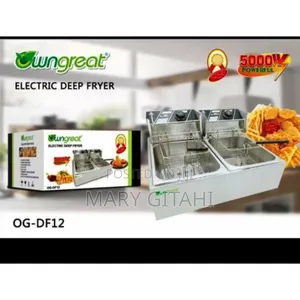 Owngreat 12litre Double Deep Fryer*