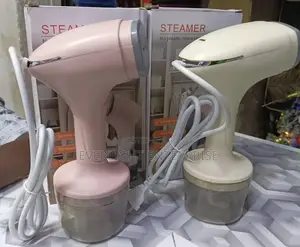 2 in 1 Handheld Garment Steamer