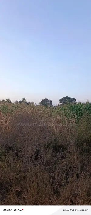Kenyatta Road,Two Rivers Estate 40 by 80 Plots for Sell,Titled