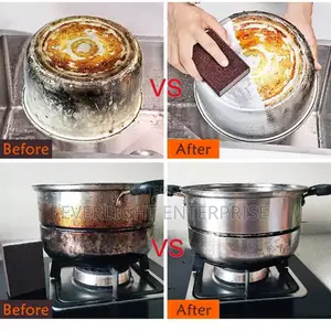 Scrubbing Kitchen Sponge
