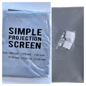 100 Inch Screen Projector