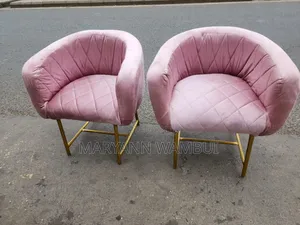 Styling Chair for Salon