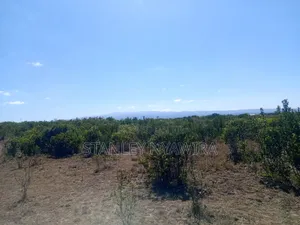 16 and Acre for Sale Karigoni Gobit