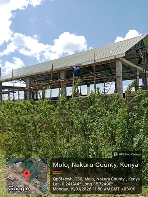 Steel Roofing And Structure
