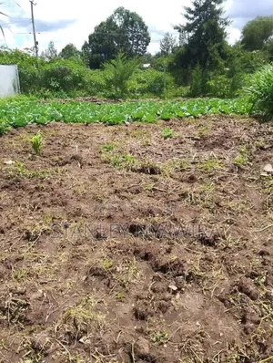 2 Acres Nanyuki for Farming