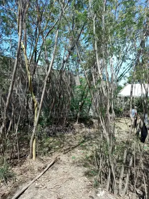 100×120 Plot for Sale in Ruai