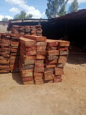 Mahogany/ Mango/Meru Oak/White Oak/Teak /Mukui Timber Sales