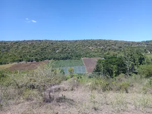 22 Acrea Gobitt . Kariguini Lakipia East