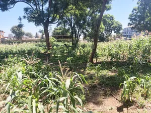 Plot for Sale