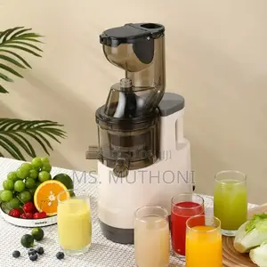 Cold Press Slow Juicer