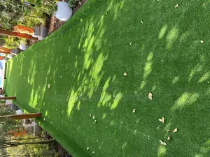 Carpet Artificial Grass