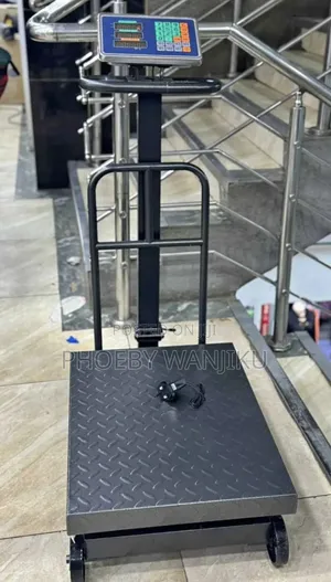 High Standard Digital Weighing Scale/600kgs Digital Platform