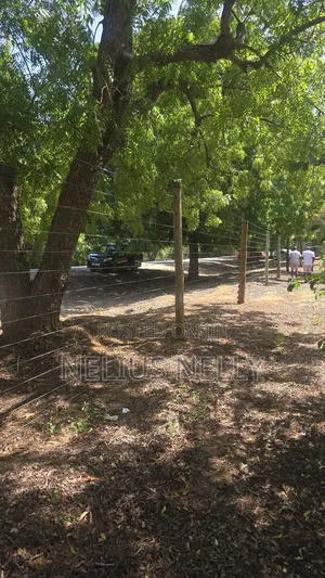 2acres Bofa Kilifi Touching Bofa Road Just 100meters to Beach